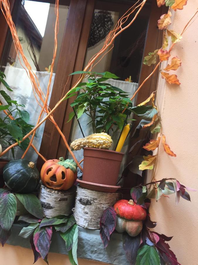 La Maison d'Alizè Lecco Esterno foto